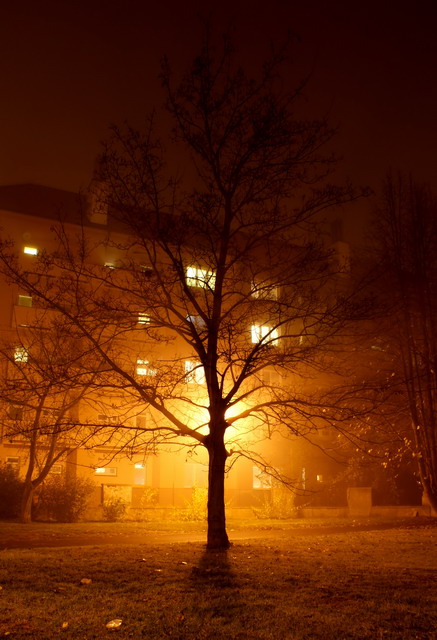 strom2_filtered_resize.jpg
